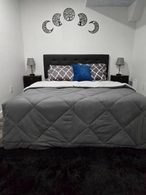 Cozy New 1 bed basement suite